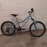 mtb per bambino da 20