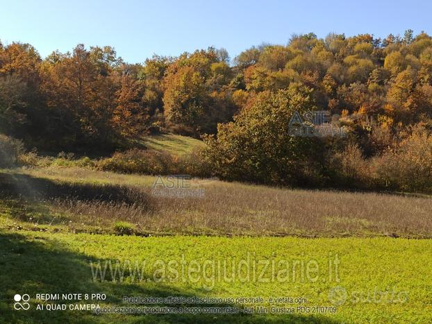 Terreno Agricolo Trivigliano [A4294356]