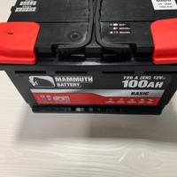 Batteria 100 Ampere