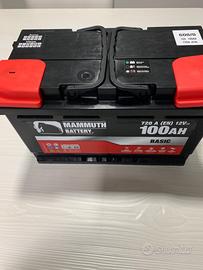 Batteria 100 Ampere