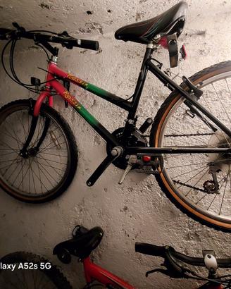 2 biciclette funzionanti