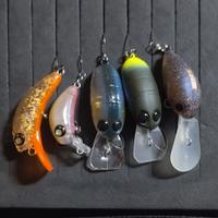 spoon e crank trout area 