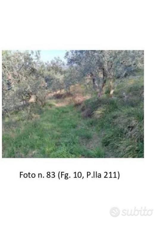 Immobile in asta di 7490 m² a Spello - Altro