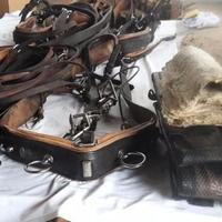 Finimento da pariglia