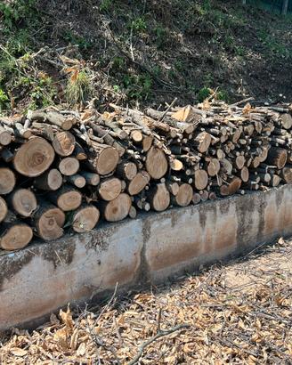 Legna di castagno