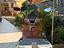Immagine 3