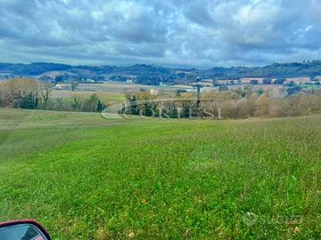 Terreno Agricolo ha 8 con laghetto privato. T/128