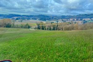Terreno Agricolo ha 8 con laghetto privato. T/128