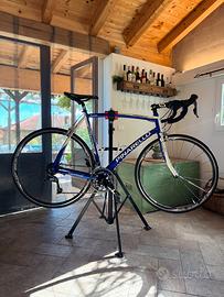 Pinarello Treviso Custom Series