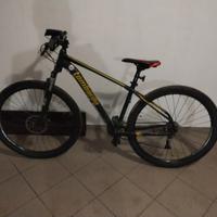 mountain bike lombardo