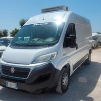 Fiat ducato frigo ATP rinnovata PREZZO FINITO