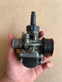 phbg 19 dell orto e altro