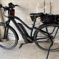 Haibike sduro Trek