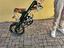 Immagine 2