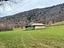 Immagine 12
