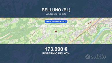 Immobile in asta di 10376 m² a Belluno