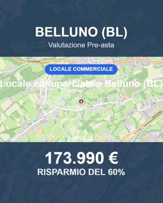 Immobile in asta di 10376 m² a Belluno