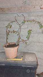 decorazioni  per interni e esterni .