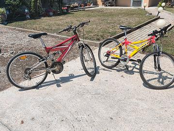 Biciclette da 24