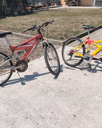Biciclette da 24