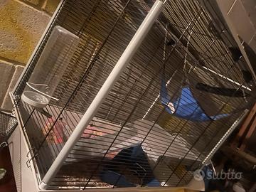 Gabbia per furetto completa