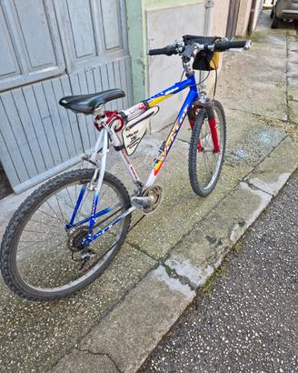 Bici vektor