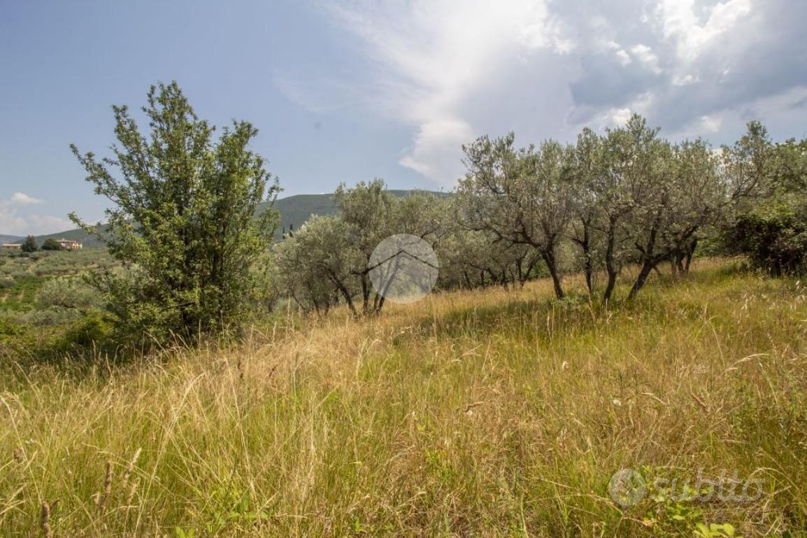 RUSTICO A PALOMBARA SABINA - Vista 4