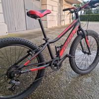 Bicicletta MTB