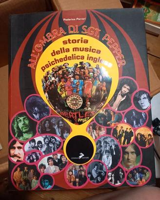 All'ombra del Stg.Pepper - storia della musica psi