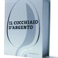 Cucchiaio d argento NUOVO, confezione Lusso