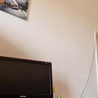 Televisore Samsung 23 pollici con decoder incorpor