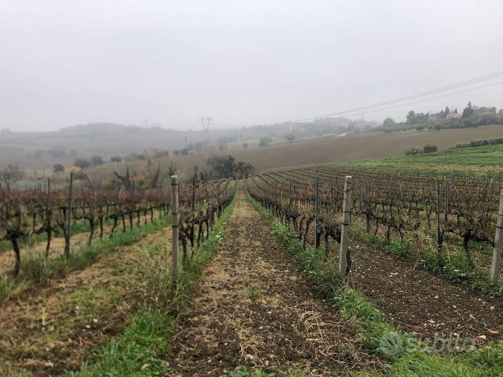 Terreno di 44000 m² a Rimini - Altro