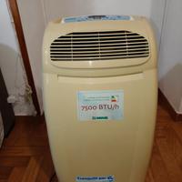 Condizionatore portatile 