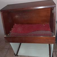 Terrario per baby tartarughe e rettili 