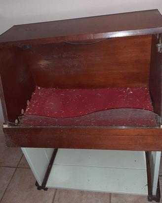 Terrario per baby tartarughe e rettili 