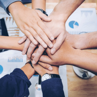 Baby sitter, badante, dog/cat sitter