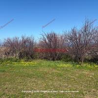 Terreno, Campofelice di Roccella.
