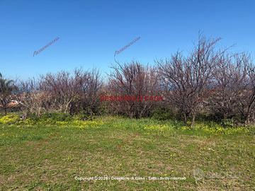 Terreno, Campofelice di Roccella.