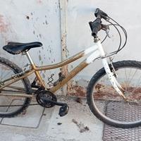 Bicicletta per Bimba/Bimbo di 8/12 anni