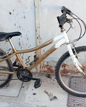 Bicicletta per Bimba/Bimbo di 8/12 anni
