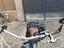 Immagine 2
