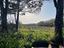 Immagine 24