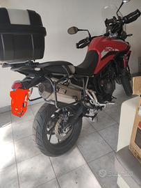 Triumph Tiger 900 gt pro 2021