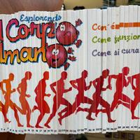 ESPLORANDO IL CORPO UMANO COLLANA