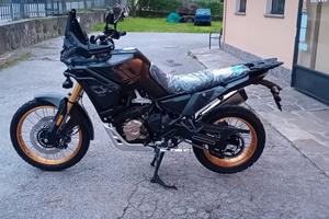 Valico 800 DSX Rally