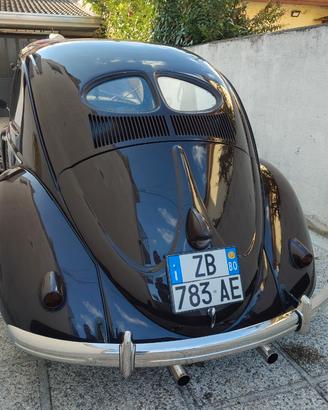 Maggiolino due vetrini 1952
