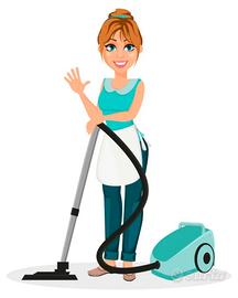Pulizie domestiche