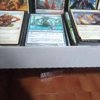 Lotto 800 Magic the Gathering mtg 