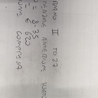 DIFFERENZIALE ANTERIORE USATO TERRANI II TD27