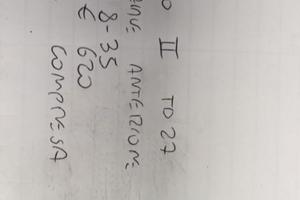 DIFFERENZIALE ANTERIORE USATO TERRANI II TD27